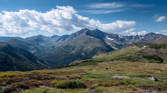 Open alpine tundra terrain above treeline with mountain peaks in background