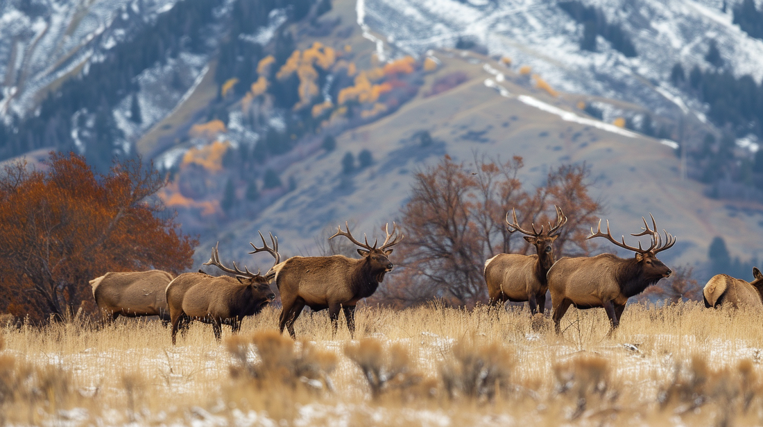 Elk herd moving through a high-country mountain pass along a migration corridor in the Rocky Mountain West