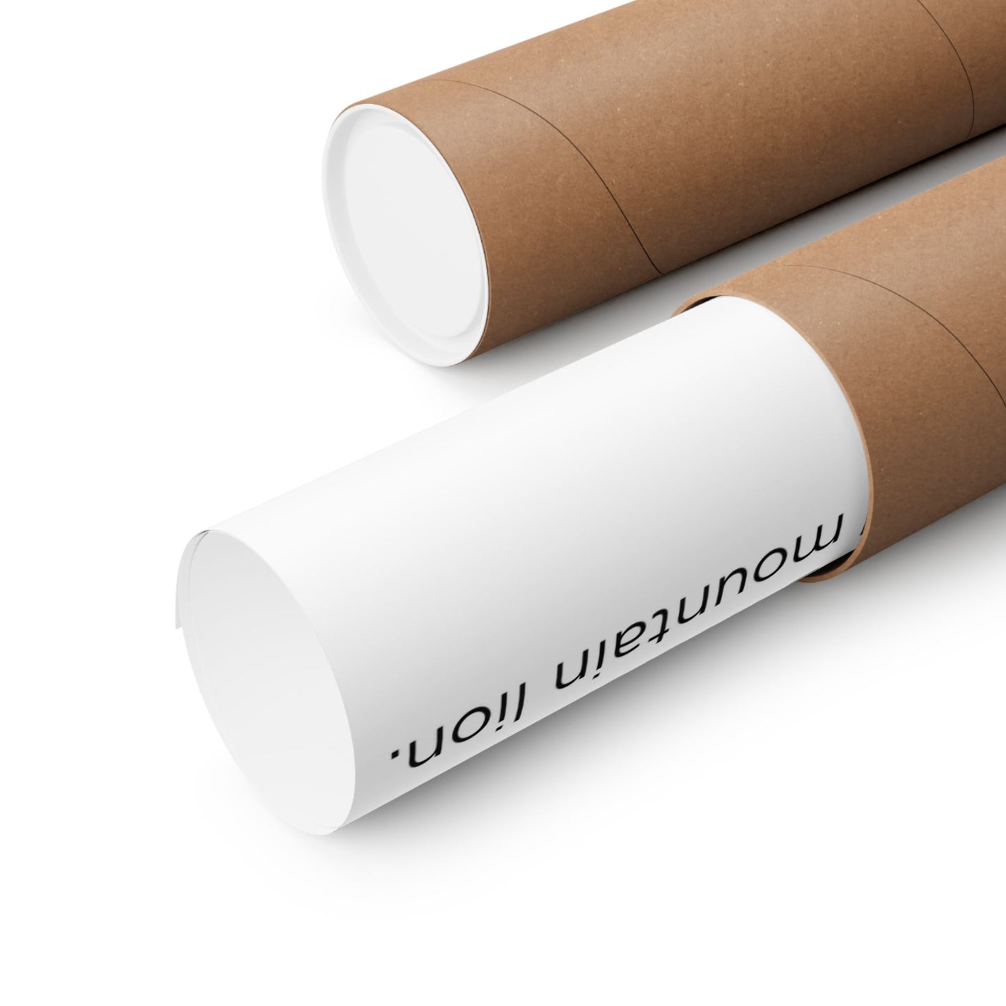 Rigid cardboard shipping tubes used to protect the Bridger-Teton National Forest topographic map poster during shipping, shown rolled on a white background.