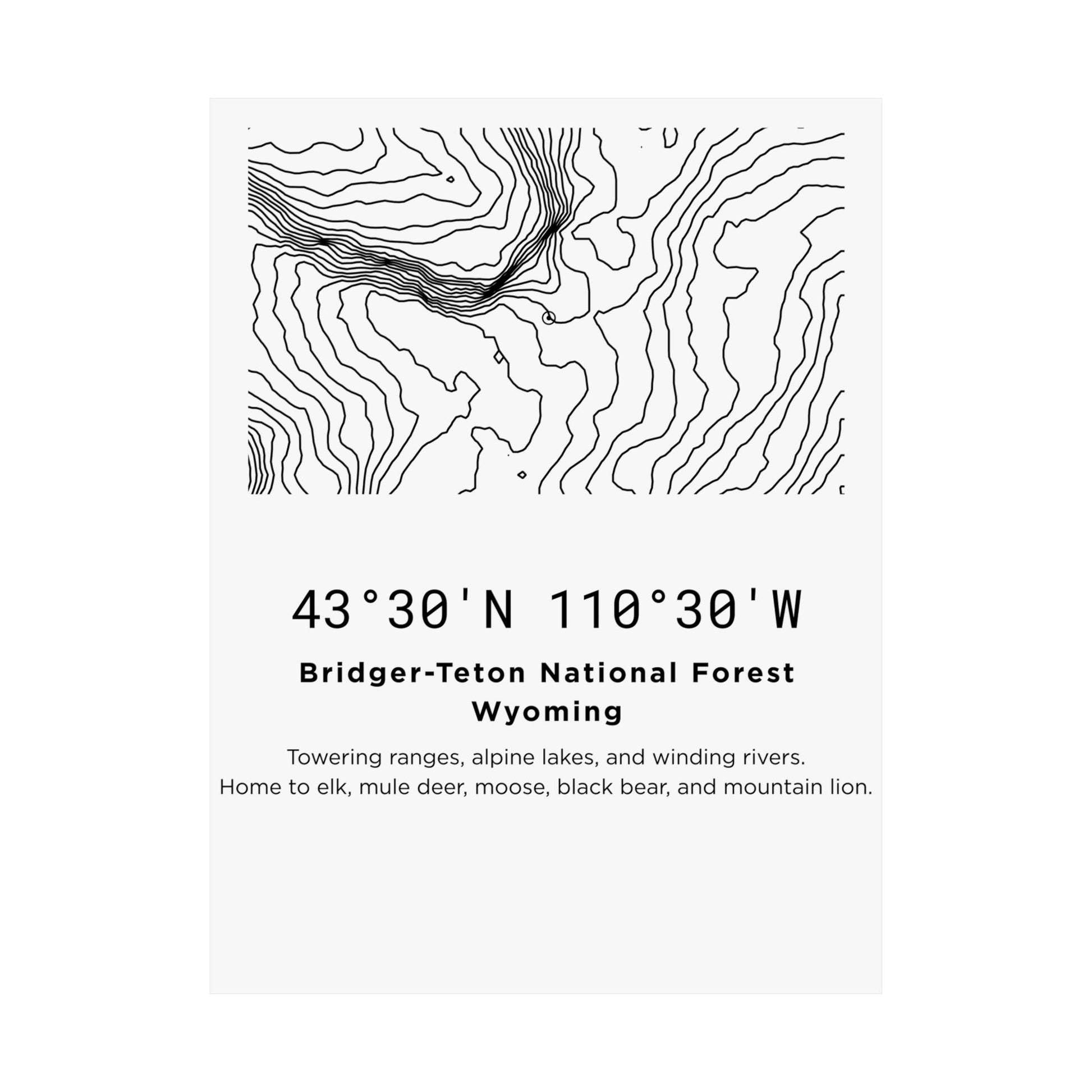 Close-up flat view of the 18 by 24 inch Bridger-Teton National Forest Wyoming topographic map poster showing detailed black contour lines, bold GPS coordinates 43 degrees 30 N 110 degrees 30 W, location name, and the description listing elk, mule deer, moose, black bear, and mountain lion.