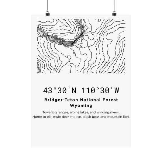 Full flat view of the Bridger-Teton National Forest Wyoming minimalist topographic map poster hung with binder clips, displaying precise contour line art, coordinates, and the wildlife territory description on off-white matte paper.